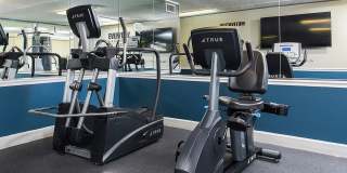 Set Point Set Point Gallery 16