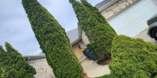 10859 Park Street Gallery 1