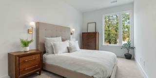 4106 W Olive Street Gallery 28