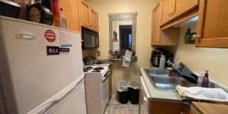 319 Dartmouth St. Gallery 3