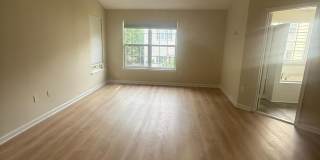 47403 DARKHOLLOW FALLS Terrace Gallery 12