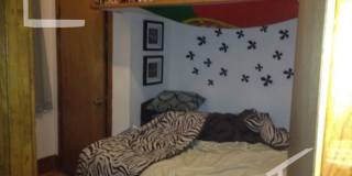 Great 3 Bed Available 9/1/26 (Fenway) Gallery 3