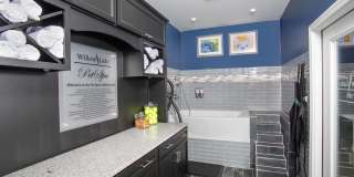Willow Lake Gallery 27