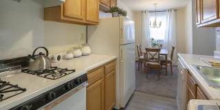 The Dorchester Gallery 7