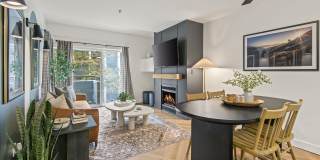 Novi at Queen Anne Gallery 2