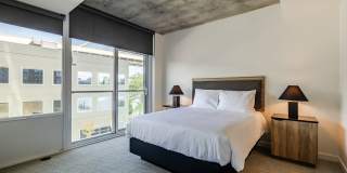 The Sutton Gallery 16