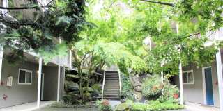 Sheridan Beach Terrace Gallery 12