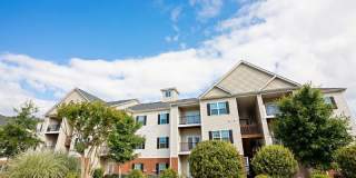 Clemmons Town Center Gallery 21