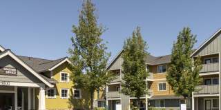 Rock Creek Commons Gallery 4