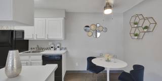 The Modern Gallery 11