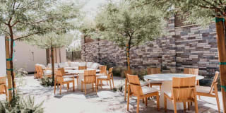 Tanager Tanager Gallery 9