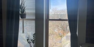 The Kensington at 516 Orange St! Gallery 183