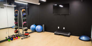 Ambassador Gallery 16