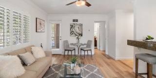 7597 Charmant Dr Unit 904 Gallery 1