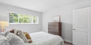 Glenmont Forest Gallery 55