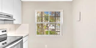 1439 Springside Dr Gallery 6