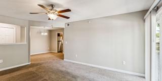 Ashford Place Gallery 83