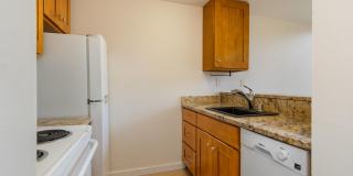 Marlene Renee Gallery 6