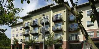 Mckenze Square Apartments Gallery 6