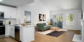 Villa Solana Gallery 1