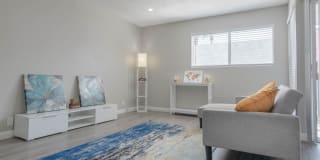 THE MODERN CACTUS Gallery 19