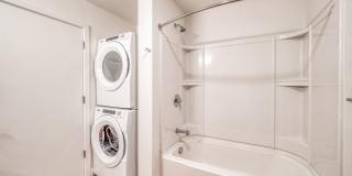 Windsor Buckman Gallery 23