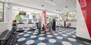 The Halstead Gallery 24