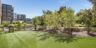 Vox on Two Gallery 17