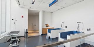 Wolf Point East Gallery 53