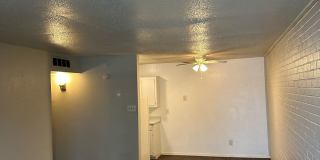 Buena Vida Gallery 11