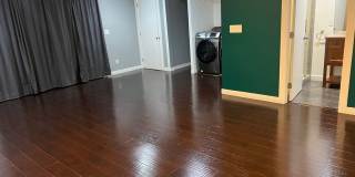 True Beauty! SOLAR Gallery 19