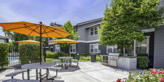 Seville at Mace Ranch Gallery 5