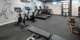 The Frankie Gallery 27