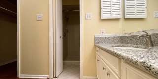 3723 Twisted Oaks Dr Gallery 11
