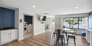 Arrive Alexandria Gallery 15