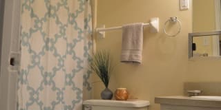 Cambridge Gallery 14