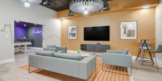 Connecticut Plaza Gallery 21