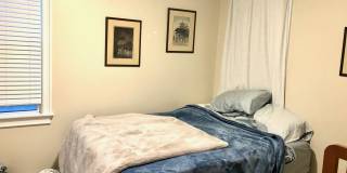 17 Plymouth St Gallery 12