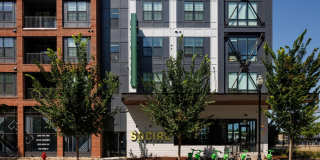 Starling Gallery 53