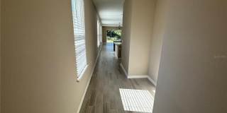 15013 SHADY PALMS LANE Gallery 2