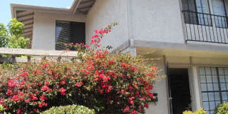 EASTER WAY - LOCATED NEAR UCSD IN UTC! Gallery 1