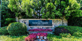 Saratoga Square Gallery 18