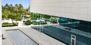 10203 Collins Avenue Gallery 22