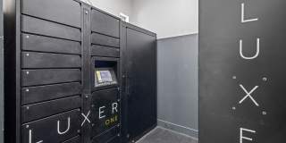 Mountain Trail Gallery 16