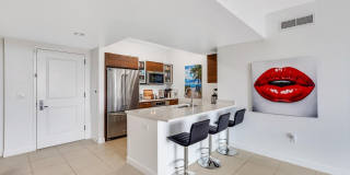 480 Hibiscus Street Gallery 13