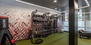 Domain Oakland Gallery 18