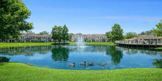 Waterbridge Gallery 4