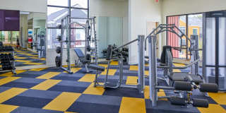 Anthology Apartments Gallery 23