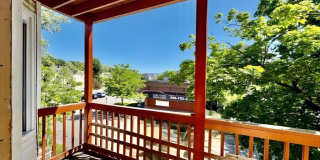 2 Shirley St Gallery 23