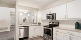 Amp at the Grid Gallery 15